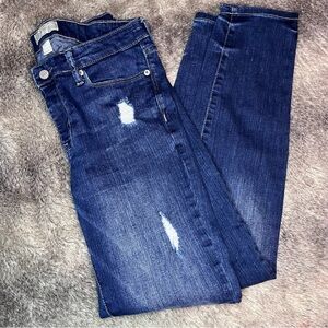 Banana Republic Ripped Jeans